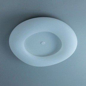 Накладной светильник Citilux Стратус Смарт CL732A800G в Полевском - polevskoy.mebel24.online | фото 10