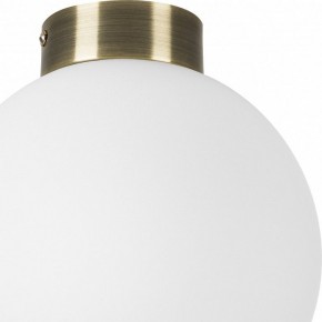 Накладной светильник Lightstar Globo 812021 в Полевском - polevskoy.mebel24.online | фото 3