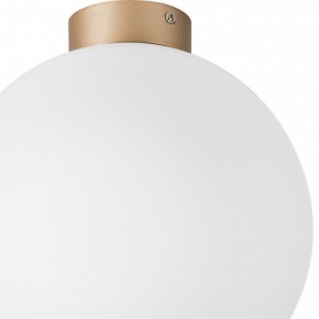 Накладной светильник Lightstar Globo 812033 в Полевском - polevskoy.mebel24.online | фото 2