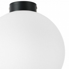 Накладной светильник Lightstar Globo 812037 в Полевском - polevskoy.mebel24.online | фото 3