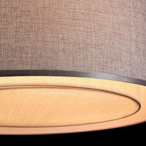 Накладной светильник Maytoni Bergamo MOD613CL-04GR в Полевском - polevskoy.mebel24.online | фото 10