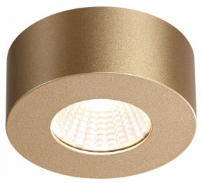 Накладной светильник Odeon Light Bene 4284/7CL в Полевском - polevskoy.mebel24.online | фото 4