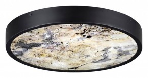 Накладной светильник Odeon Light Bergi 5064/30L в Полевском - polevskoy.mebel24.online | фото 4