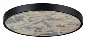 Накладной светильник Odeon Light Bergi 5064/50L в Полевском - polevskoy.mebel24.online | фото 3