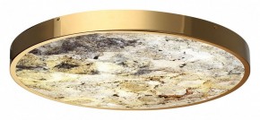 Накладной светильник Odeon Light Bergi 5079/50L в Полевском - polevskoy.mebel24.online | фото 5