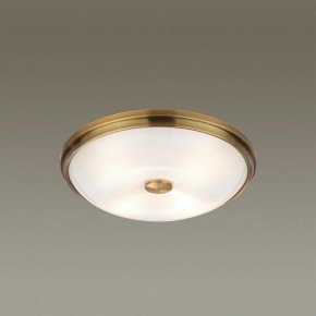 Накладной светильник Odeon Light Pelow 4956/4 в Полевском - polevskoy.mebel24.online | фото 2