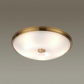 Накладной светильник Odeon Light Pelow 4956/5 в Полевском - polevskoy.mebel24.online | фото 2