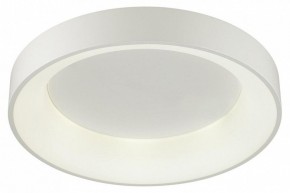 Накладной светильник Odeon Light Sole 4062/50CL в Полевском - polevskoy.mebel24.online | фото 3