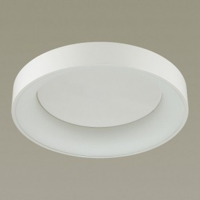 Накладной светильник Odeon Light Sole 4062/50CL в Полевском - polevskoy.mebel24.online | фото 4