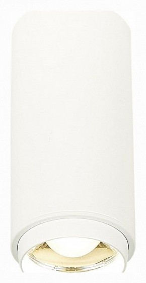 Накладной светильник ST-Luce Zoom ST600.542.10 в Полевском - polevskoy.mebel24.online | фото 2
