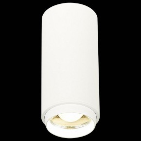 Накладной светильник ST-Luce Zoom ST600.542.10 в Полевском - polevskoy.mebel24.online | фото 3
