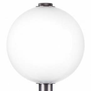 Настольная лампа декоративная Lightstar Colore 805916 в Полевском - polevskoy.mebel24.online | фото 6