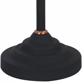 Настольная лампа офисная Arte Lamp Braccio A2054LT-1BK в Полевском - polevskoy.mebel24.online | фото 4