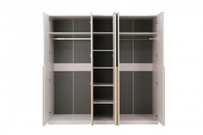 НИКОЛЬ 25 Шкаф 5-ти створчатый в Полевском - polevskoy.mebel24.online | фото 3