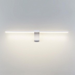 Подсветка для картины Odeon Light Tiny 7070/8WL в Полевском - polevskoy.mebel24.online | фото 2