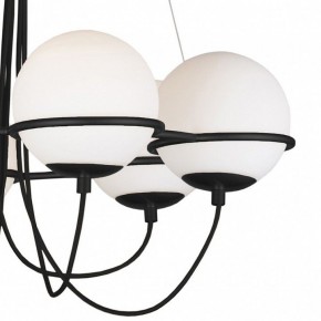 Подвесная люстра Lightstar Globo 803267 в Полевском - polevskoy.mebel24.online | фото 5