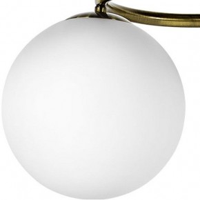 Подвесная люстра Lightstar Globo 815091 в Полевском - polevskoy.mebel24.online | фото 3