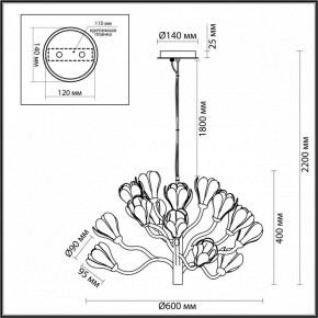 Подвесная люстра Odeon Light Gardi 5090/15 в Полевском - polevskoy.mebel24.online | фото 6