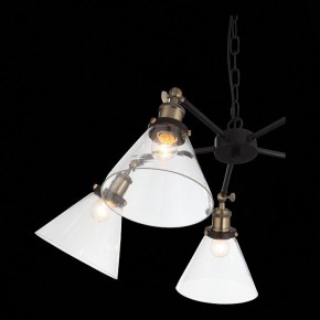 Подвесная люстра ST-Luce Evoluto SL237.413.05 в Полевском - polevskoy.mebel24.online | фото 7