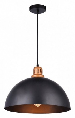 Подвесной светильник Arte Lamp Eurica A4249SP-1BK в Полевском - polevskoy.mebel24.online | фото 2