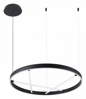 Подвесной светильник Arte Lamp Ricco A1874SP-32BK в Полевском - polevskoy.mebel24.online | фото 2