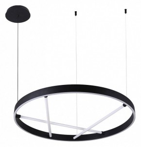 Подвесной светильник Arte Lamp Ricco A1874SP-45BK в Полевском - polevskoy.mebel24.online | фото 2