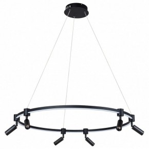 Подвесной светильник Arte Lamp Ring A2186SP-1BK в Полевском - polevskoy.mebel24.online | фото 2
