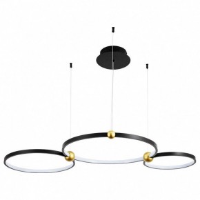 Подвесной светильник Divinare Amadeo 1123/04 SP-75 в Полевском - polevskoy.mebel24.online | фото