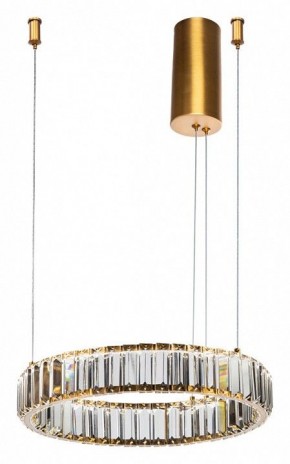 Подвесной светильник Divinare Renata 1135/17 SP-25 в Полевском - polevskoy.mebel24.online | фото 2