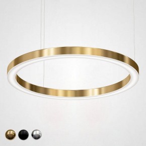 Подвесной светильник Imperiumloft Light Ring Horizontal 40.1454-100 в Полевском - polevskoy.mebel24.online | фото