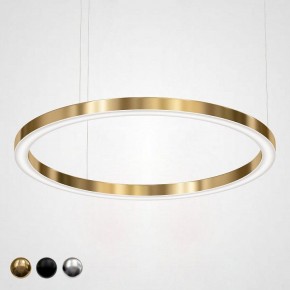 Подвесной светильник Imperiumloft Light Ring Horizontal 40.1454-120 в Полевском - polevskoy.mebel24.online | фото