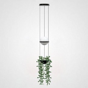Подвесной светильник Imperiumloft Palma Wall Lamp 22.93727 в Полевском - polevskoy.mebel24.online | фото