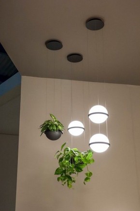 Подвесной светильник Imperiumloft Palma Wall Lamp 22.93727 в Полевском - polevskoy.mebel24.online | фото 6