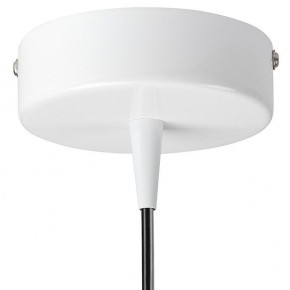 Подвесной светильник Lightstar Conicita 804110 в Полевском - polevskoy.mebel24.online | фото 6