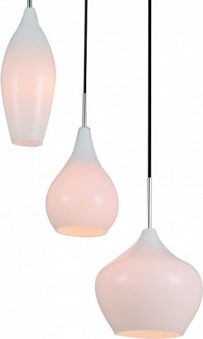 Подвесной светильник Lightstar Pentola 803050 в Полевском - polevskoy.mebel24.online | фото 2