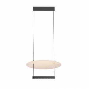 Подвесной светильник Maytoni Ambience MOD280PL-L23B3K1 в Полевском - polevskoy.mebel24.online | фото 3