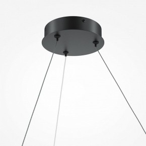 Подвесной светильник Maytoni Curve MOD242PL-L33BK в Полевском - polevskoy.mebel24.online | фото 5
