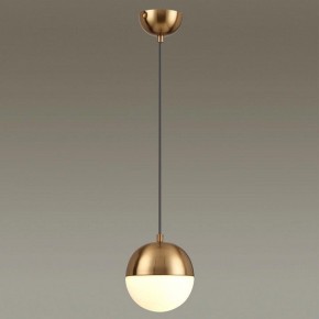 Подвесной светильник Odeon Light Pinga 4960/1 в Полевском - polevskoy.mebel24.online | фото 2