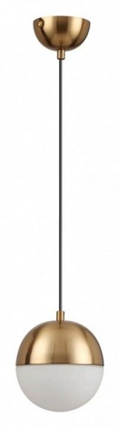 Подвесной светильник Odeon Light Pinga 4960/1 в Полевском - polevskoy.mebel24.online | фото 3