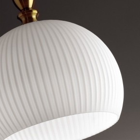 Подвесной светильник Odeon Light Runga 4766/1 в Полевском - polevskoy.mebel24.online | фото 8