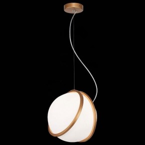 Подвесной светильник ST-Luce Acerra SL1181.353.01 в Полевском - polevskoy.mebel24.online | фото 4