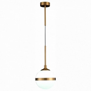 Подвесной светильник ST-Luce Arbe SL1157.303.01 в Полевском - polevskoy.mebel24.online | фото 3