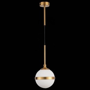 Подвесной светильник ST-Luce Arbe SL1157.303.01 в Полевском - polevskoy.mebel24.online | фото 4