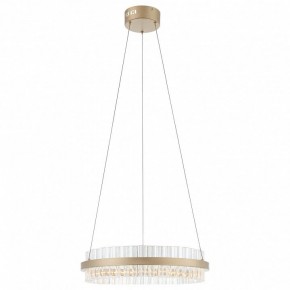 Подвесной светильник ST-Luce Cherio SL383.203.01 в Полевском - polevskoy.mebel24.online | фото 3