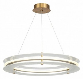 Подвесной светильник ST-Luce FAGY SL6245.203.01 в Полевском - polevskoy.mebel24.online | фото 2