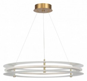 Подвесной светильник ST-Luce FAGY SL6245.203.01 в Полевском - polevskoy.mebel24.online | фото 3