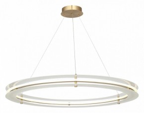 Подвесной светильник ST-Luce FAGY SL6245.213.01 в Полевском - polevskoy.mebel24.online | фото 4