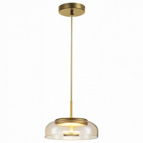 Подвесной светильник ST-Luce Lacio SL6002.203.01 в Полевском - polevskoy.mebel24.online | фото