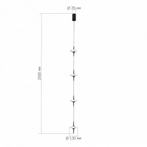 Подвесной светильник ST-Luce Zenith SL6231.403.04 в Полевском - polevskoy.mebel24.online | фото 3