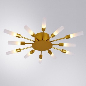Потолочная люстра Arte Lamp Maple A1276PL-12GO в Полевском - polevskoy.mebel24.online | фото 1